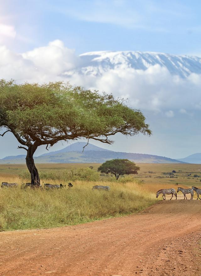 Zu den Angeboten Kenia Serengeti Nationalpark Kilimandscharo