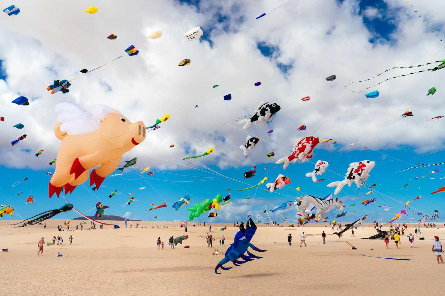 spanien-kanaren-fuerteventura-corralejo-drachen-kite-festival-g-1088429440.jpg