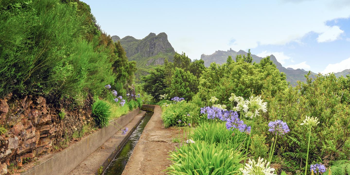 bltaaccafd07fa0a602-portugal-madeira-levada-wanderweg-blumen-bewaesserungskanal-berge-g-930484612.jpg portugal-madeira-levada-bewaesserungs-kanal-g-930484612.jpg