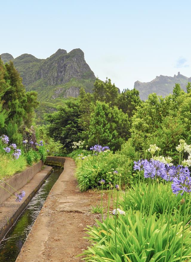 Levadas Madeira