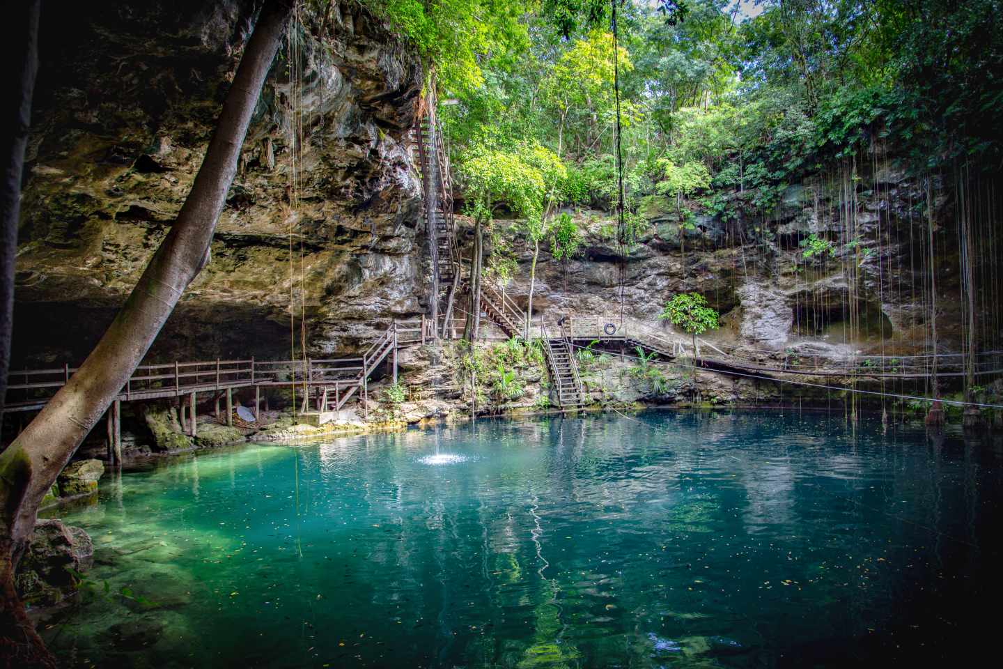 Mexiko Urlaub: Cenote