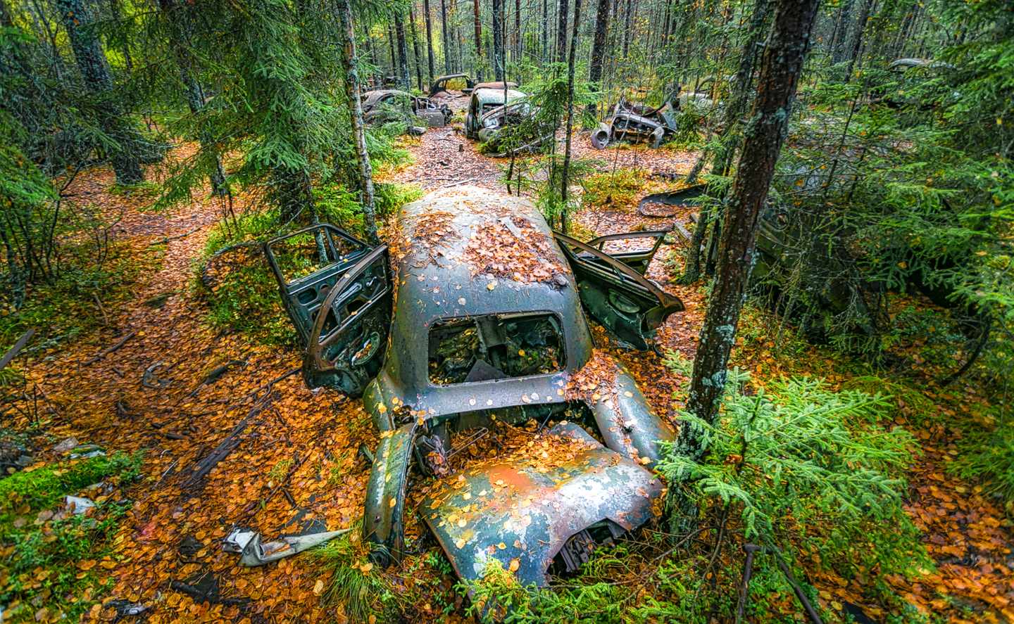 Schweden_ Autofriedhof_g-1255787056.jpg