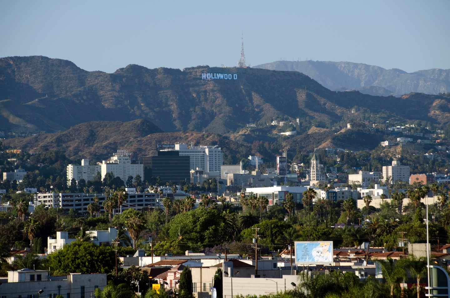 GettyImages-557771849.jpg Hollywood Hills mit dem Hollywood Schild im Hintergrund