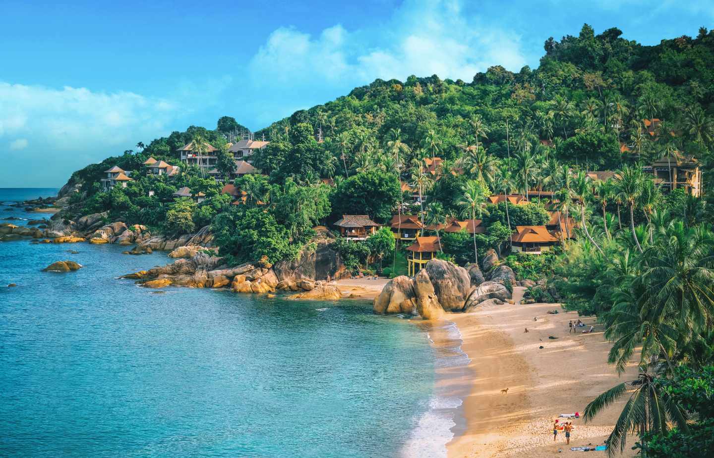 Strandhotel Koh Samui: Panoramablick auf den tropischen Strand mit Kokospalmen