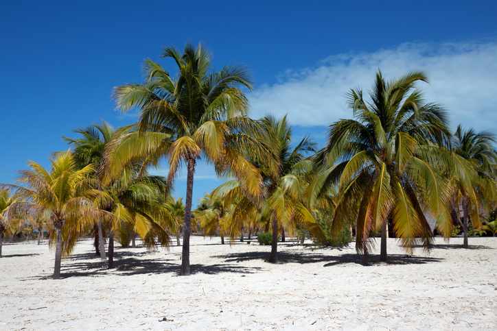 Hotels Cayo Largo Del Sur