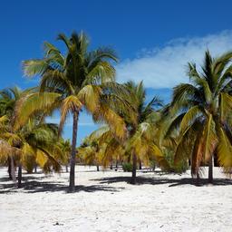 Hotel Cayo Largo del sur