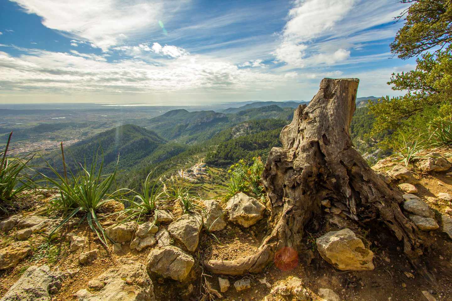 mallorca_dracheninsel_sa_dragonera_landschaft_dertour_g-510173816.jpg