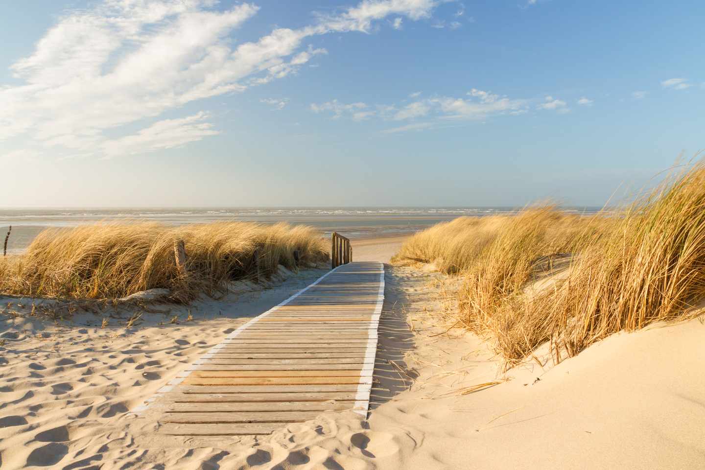 deutschland-niedersachsen-langeoog-nordsee-strand-a-31531037.jpg