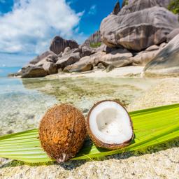 seychellen-kokosnuss-strand-t-911694562.jpg