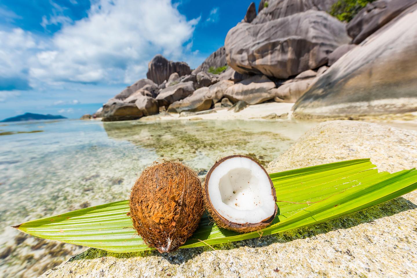 seychellen-kokosnuss-strand-t-911694562.jpg