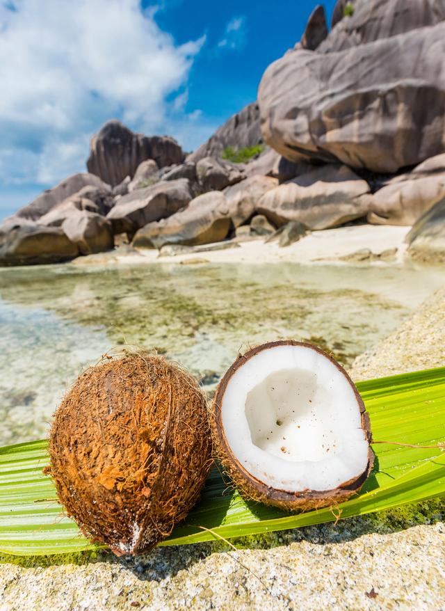 Essen auf den Seychellen seychellen-kokosnuss-strand-t-911694562.jpg
