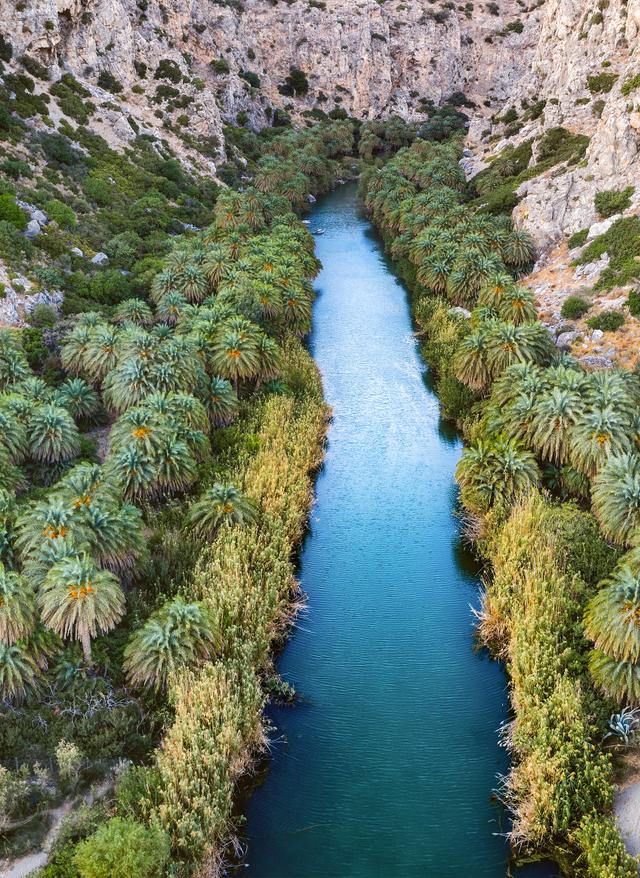 Die schönsten Schluchten Kretas griechenland-kreta-sued-chania-preveli-gorge-schlucht-mit-fluss-und-palmenwald-g-1197273364.jpg