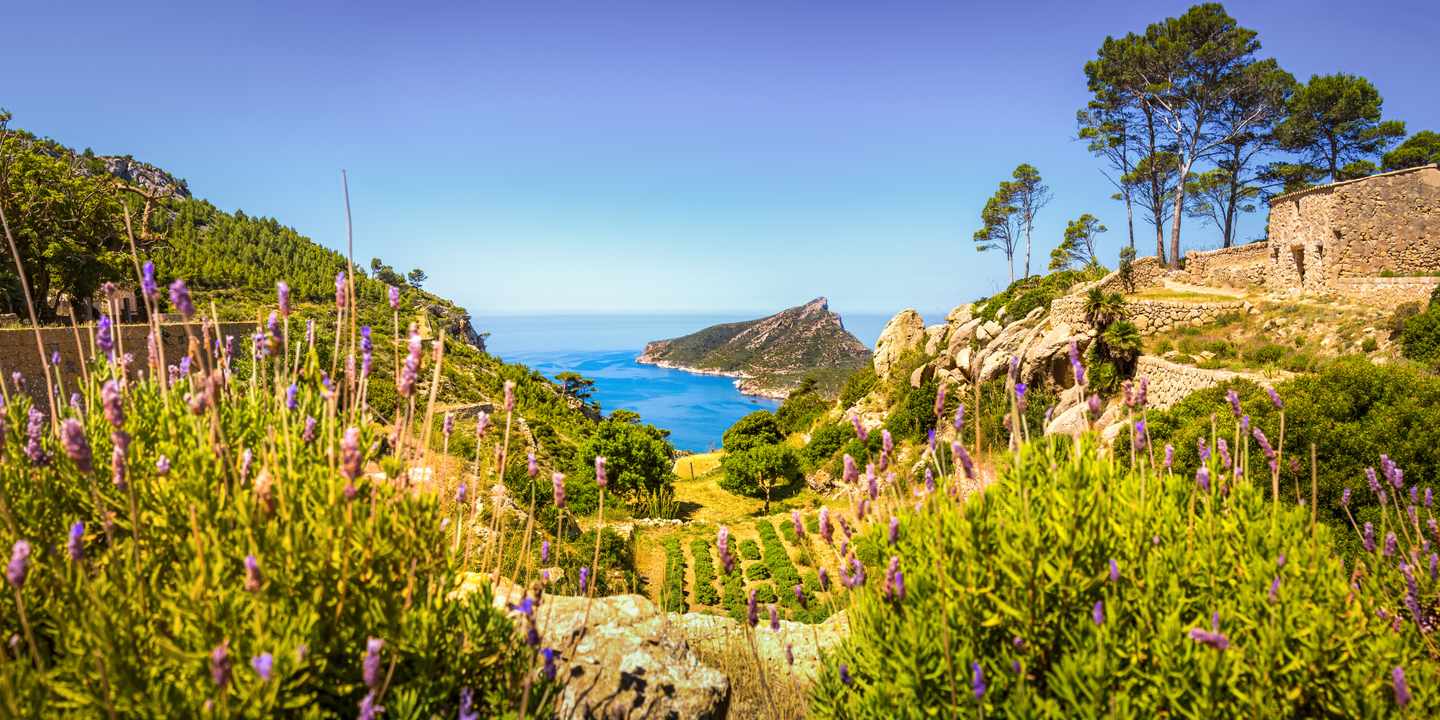 spanien-mallorca-sierra-tramuntana-g-1406498836.jpg