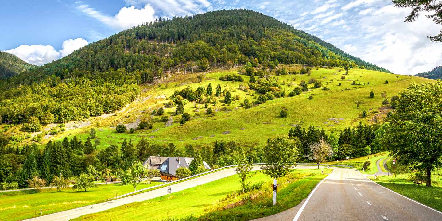 deutschland-roadtrips-strasse-im-schwarzwald-g-517901399.jpg