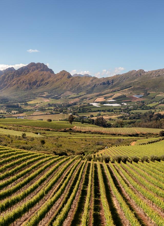 Zur Gruppenreise Südafrika Stellenbosch Weingut