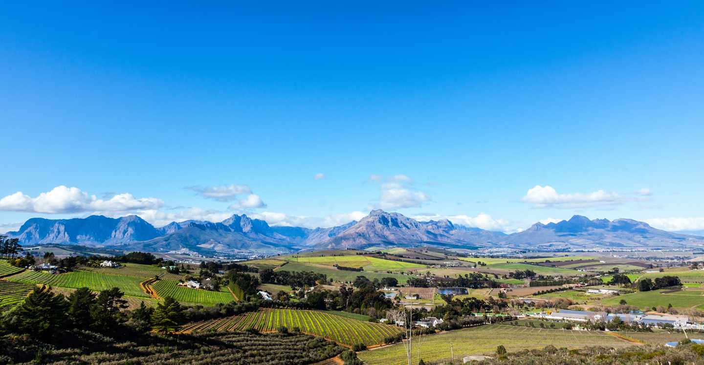 suedafrika-cape-winelands-t-520221064.jpg