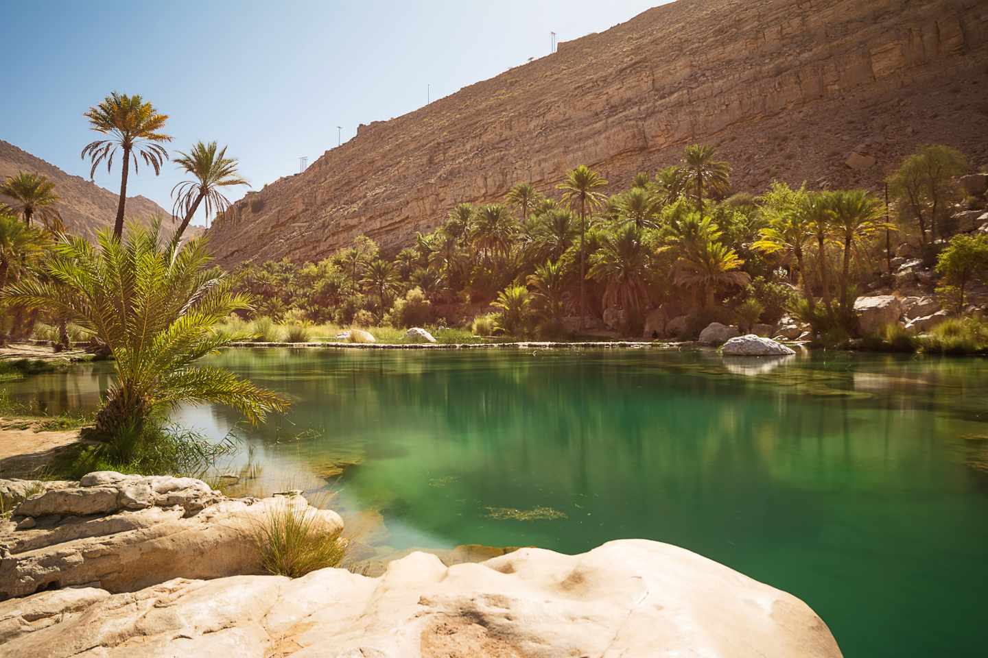oman-wadi-bani-khalid-oase-g-1133379297.jpg