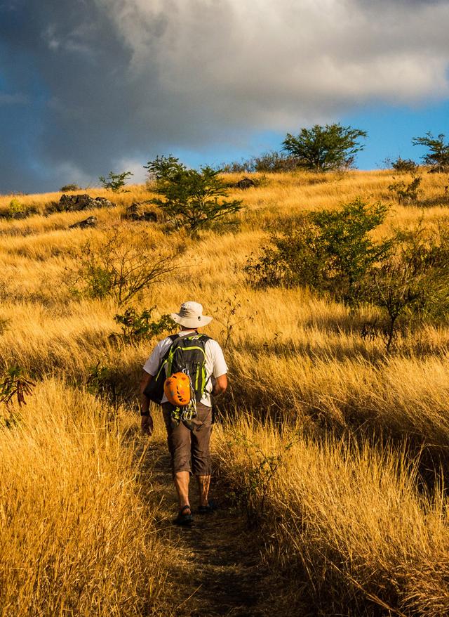 Aktivitäten auf La Réunion la-reunion-wandern-t-506695553.jpg
