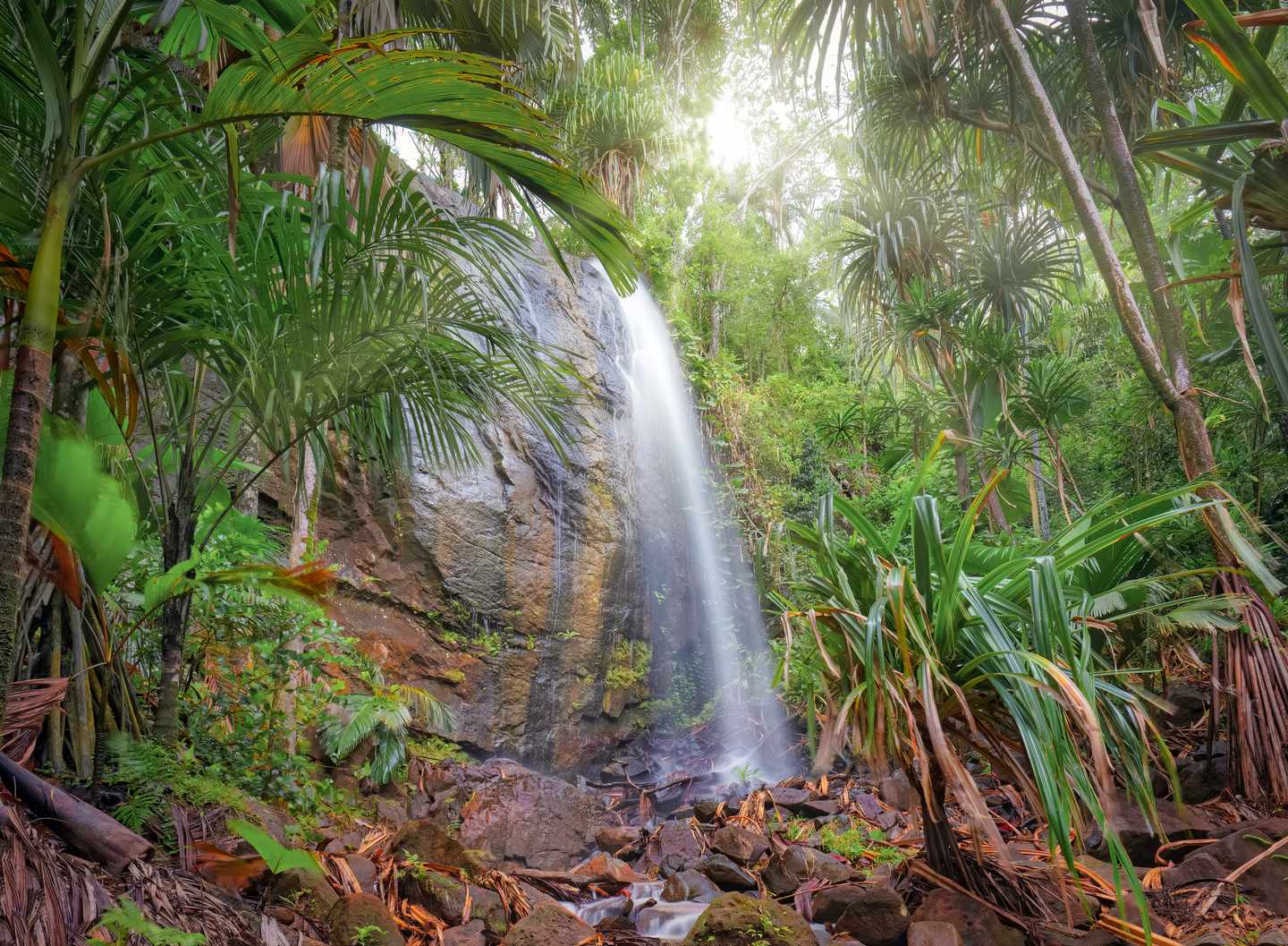 seychellen-praslin-vallee-de-mai-versteckter-wasserfall-im-palmenwald-g-1394797496.jpg