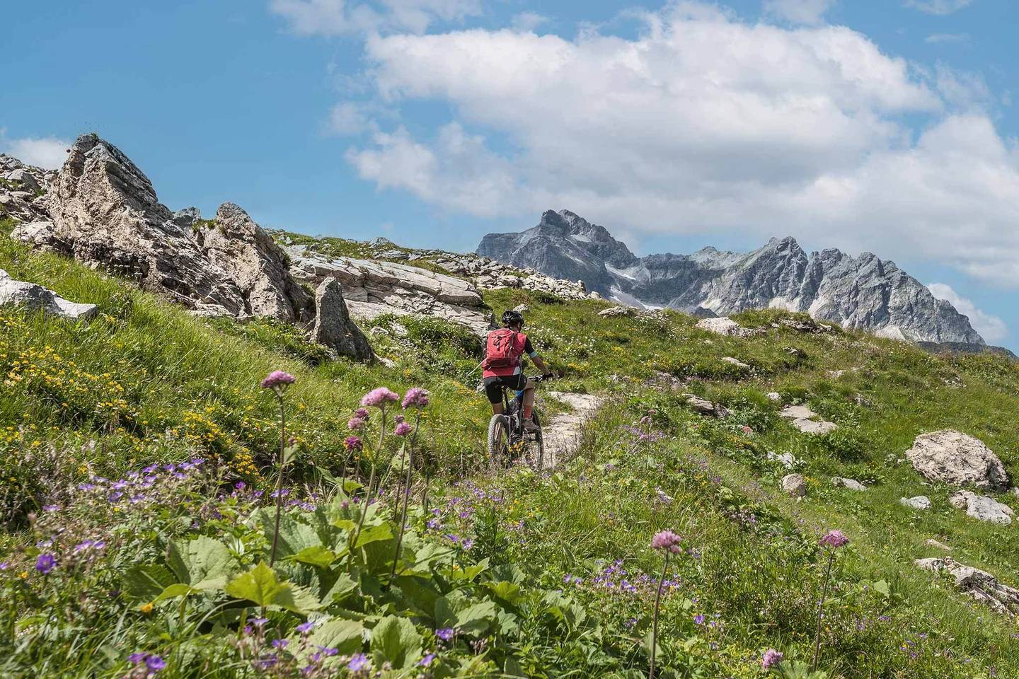 oesterreich-tirol-arlberg-radfahren-g-1141038273.jpg