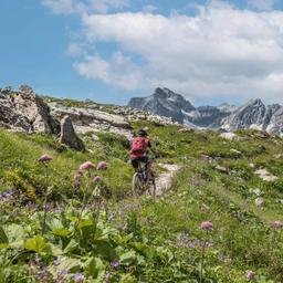 oesterreich-tirol-arlberg-radfahren-g-1141038273.jpg