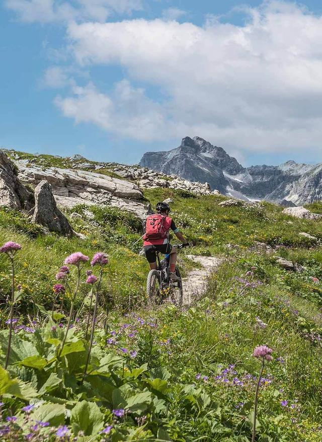 Radreise Österreich oesterreich-tirol-arlberg-radfahren-g-1141038273.jpg