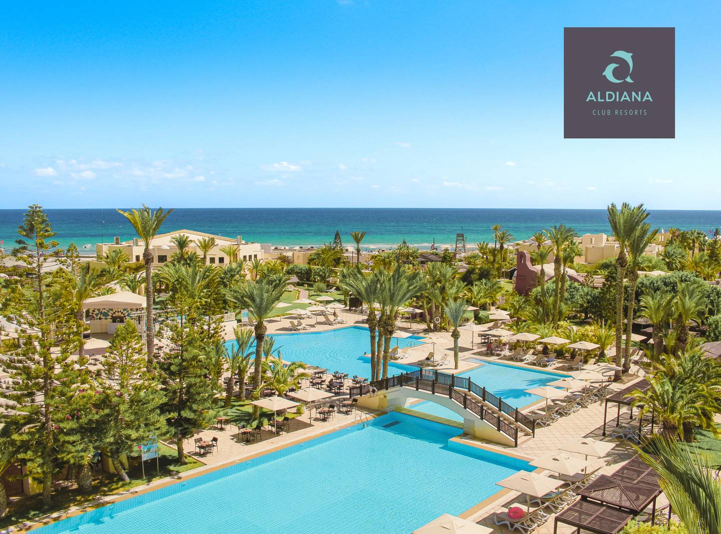 bltd9545f7592c42b10-tunesien-djerba-aldiana-djerbe-dje-anlage-0037-mit-logo.jpg tunesien-djerba-aldiana-djerbe-dje-anlage-0037-mit-logo.jpg
