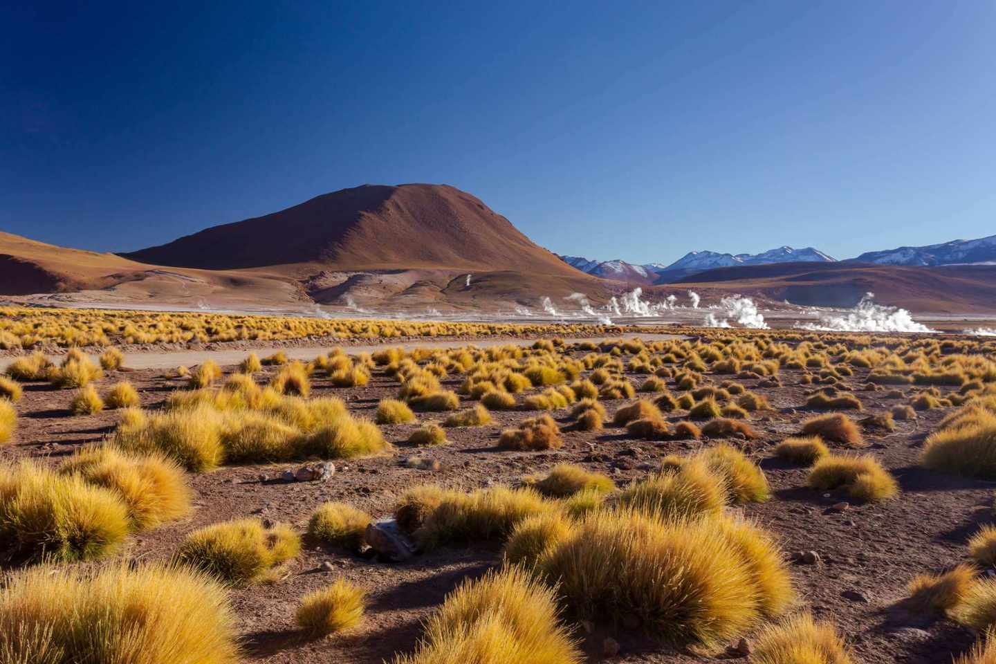 chile-anden-nationalreserve-atacama-wueste-g-1269733559.jpg