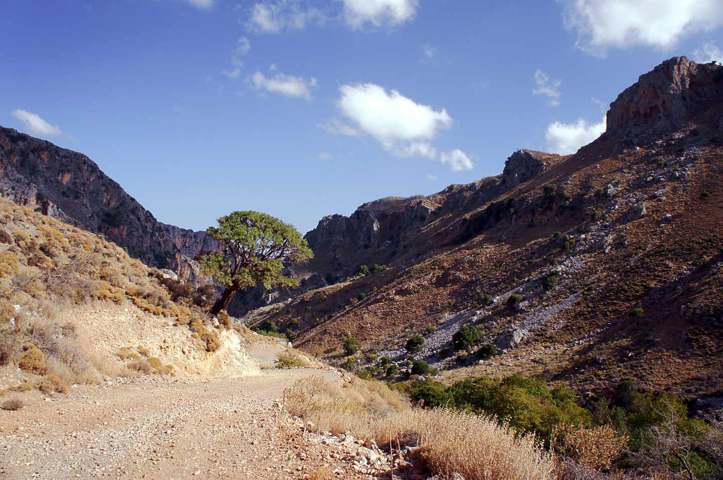griechenland-kreta-deliana-schlucht-strasse-in-der-schlucht-deliana-g-461999579.jpg