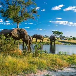 Hotels in Botswana