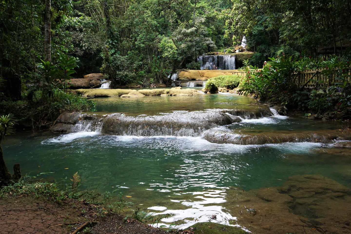 jamaika-ys-tropical-falls-im-sommer-g-1213092473.jpg