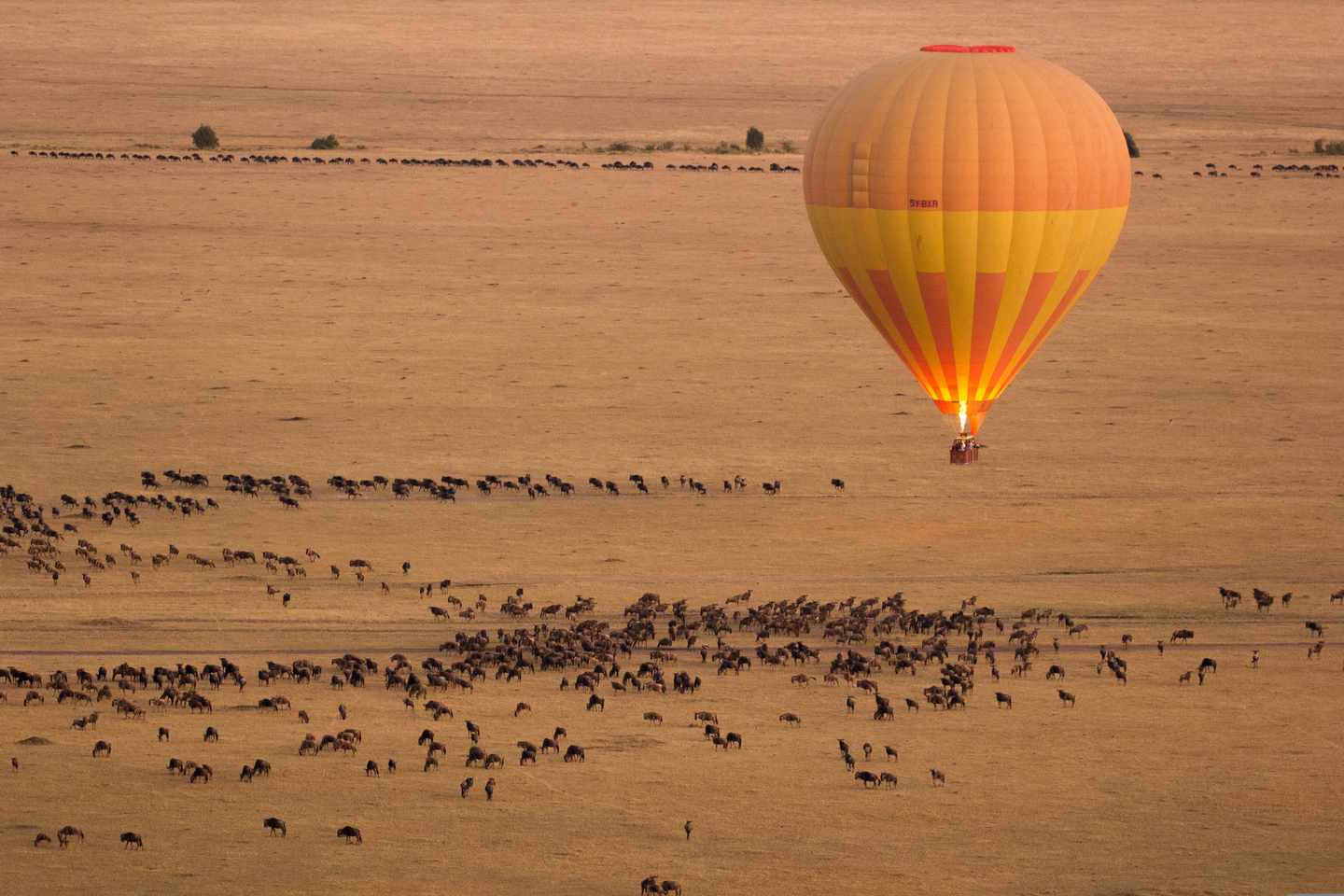 kenia-heissluftballon-masai-mara-g-489037776.jpg