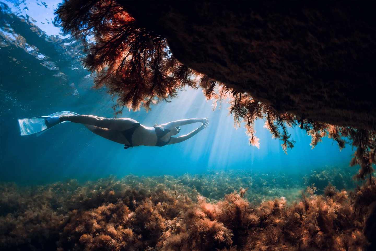 griechenland-frau-schwimmt-am-riff-vorbei-g-1291788552.jpg