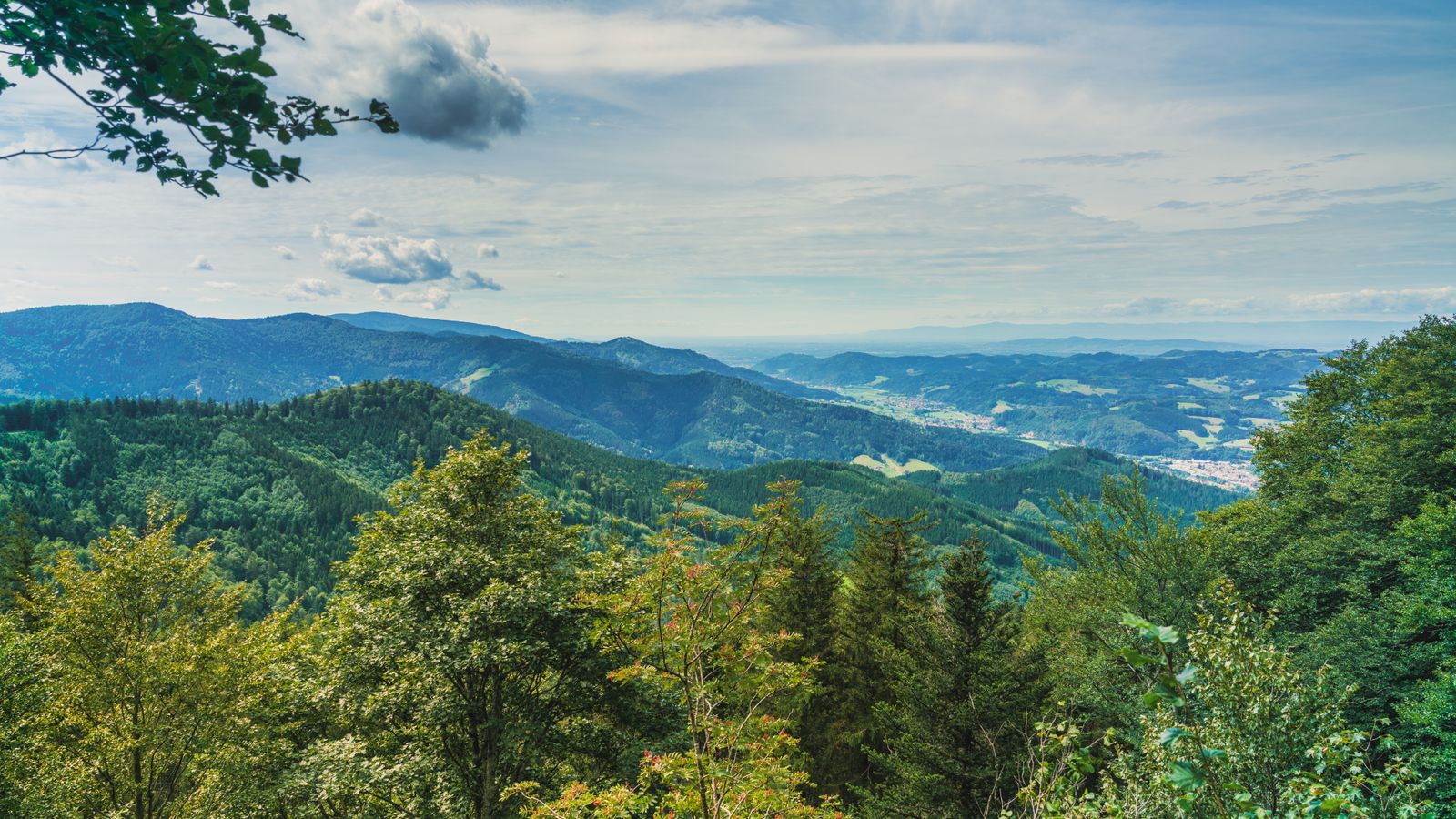 Blick ins Elztal beim Wandern im Schwarzwald