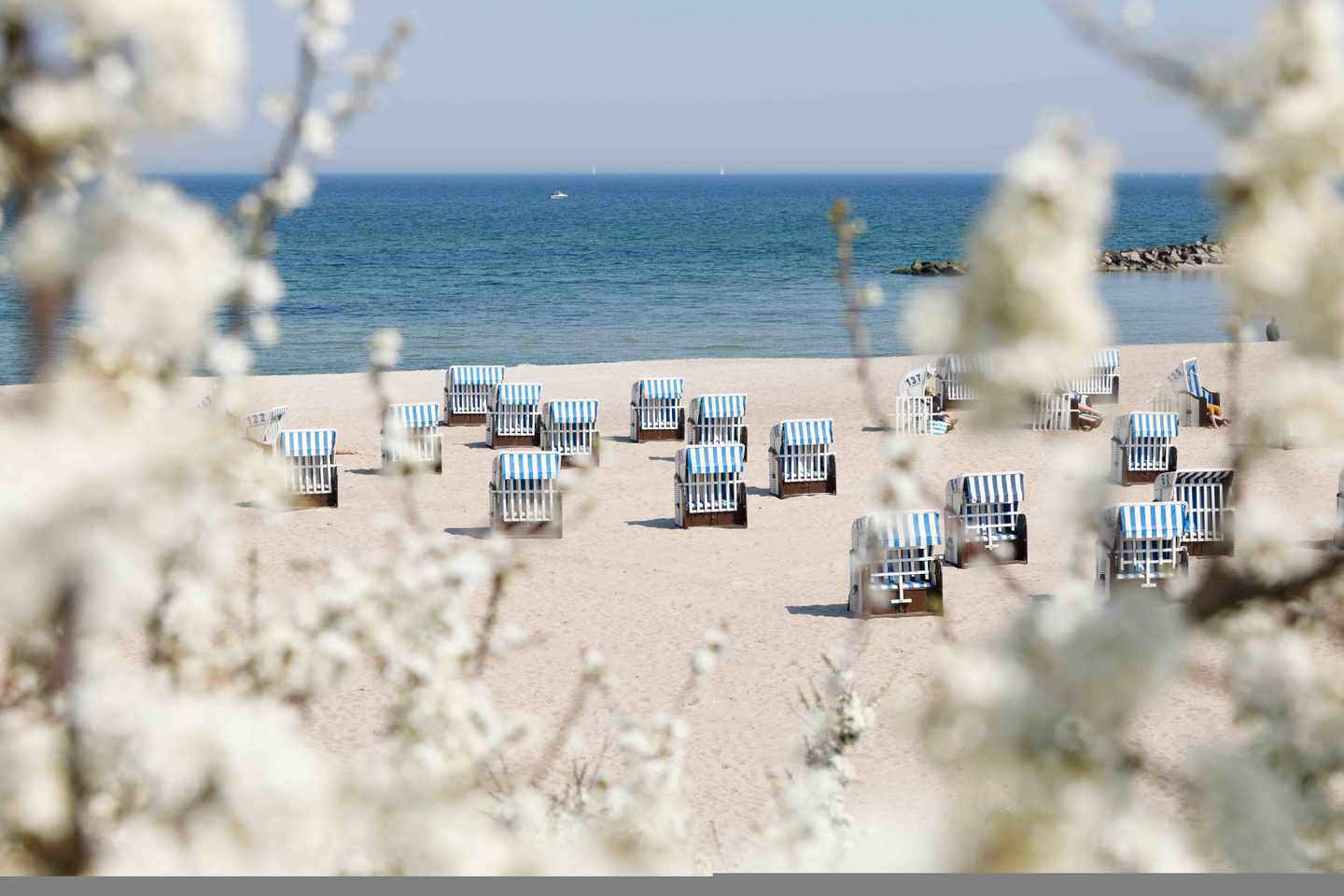 deutschland-kuehlungsborn-ostsee-strand-dertour-g-954923456.jpg