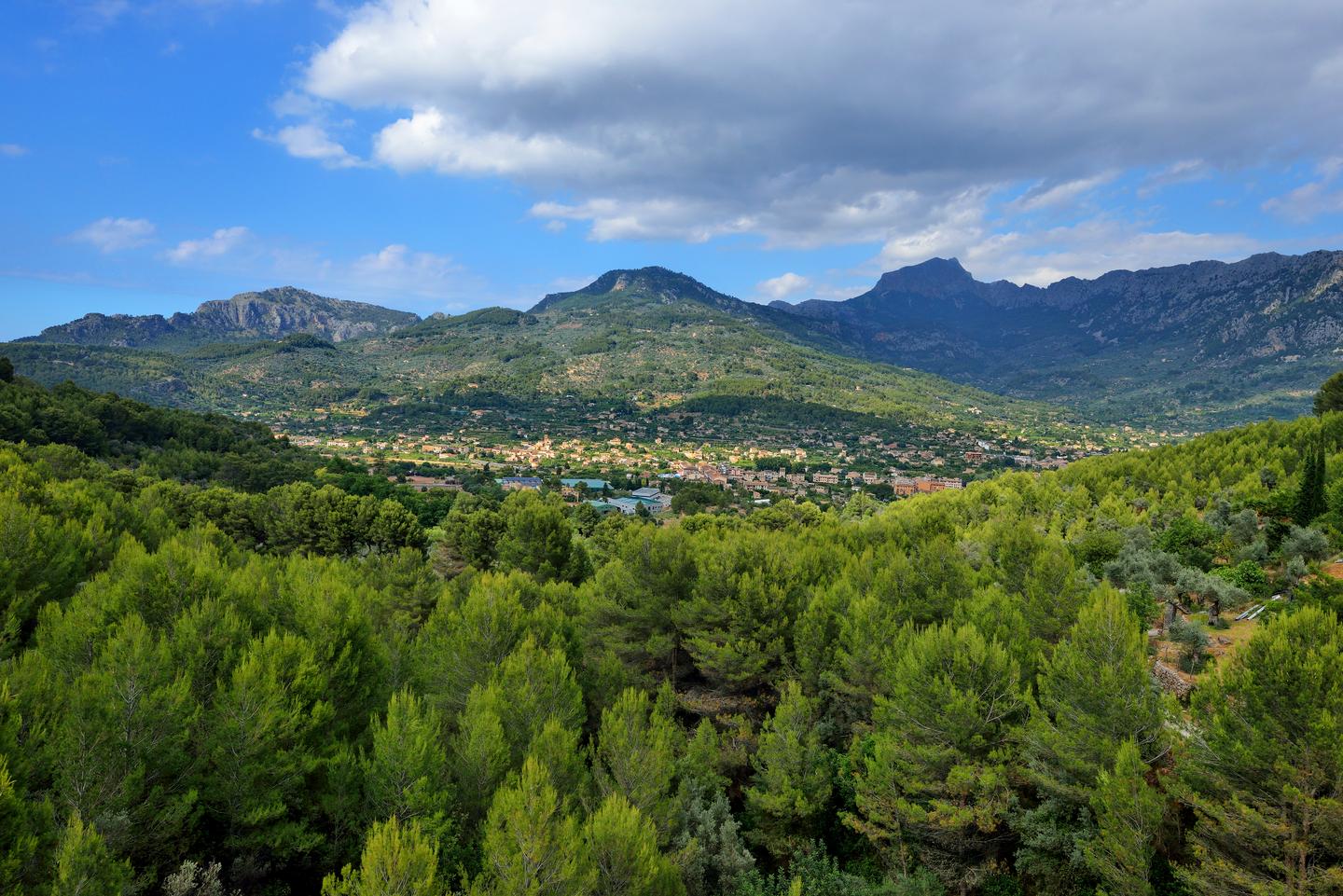 bltb53f30e2e0ec175d-spanien-mallorca-felanix-huegellandschaft-g-487250792.jpg spanien-mallorca-felanix-huegellandschaft-g-487250792.jpg