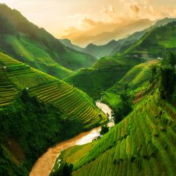 Hotels in Vietnam