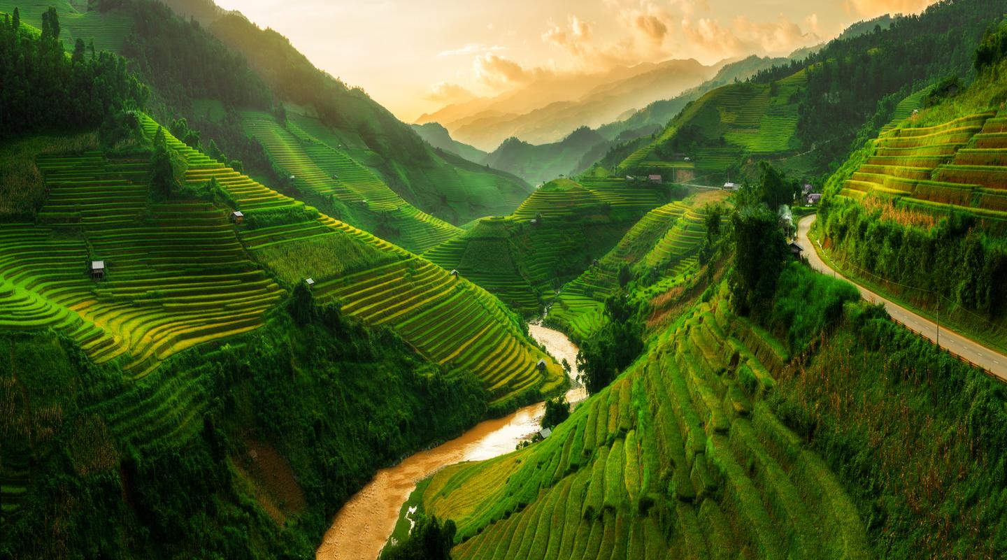 vietnam-terrasse-reisfeld-mu-cang-chai-t--624183176.jpg