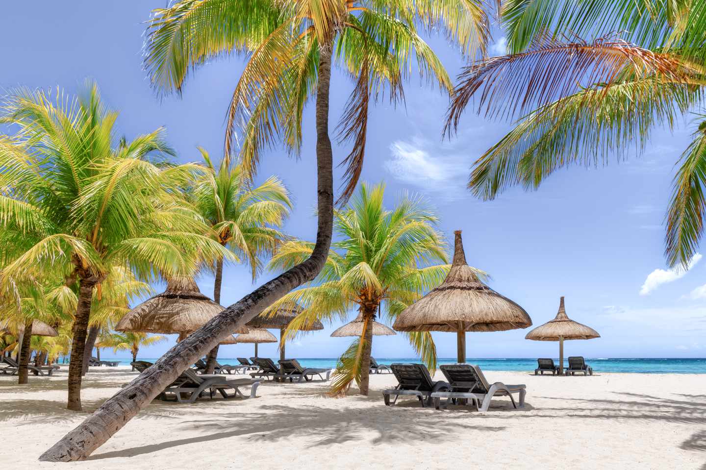 mauritius-halbinsel-le-morne-tropischer-strand-g-1365824467.jpg