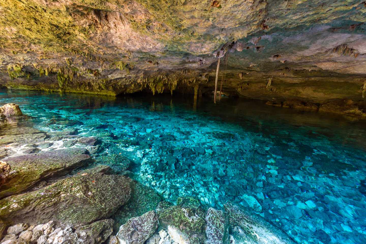 mexiko-quintana-roo-dos-ojos-cenote-g-879390814.jpg