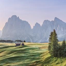 italien-dolomiten-alpe-di-siusi-g-1037335332.jpg