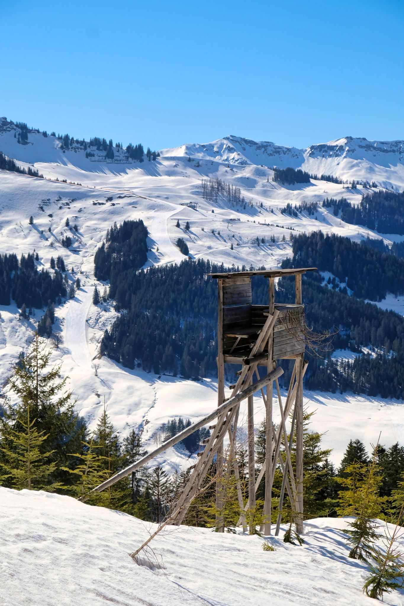 blt450f6f7e7c9dd8c6-oesterreich-alpen-schneelandschaft-g-1390314879.jpg Hochstuhl im Schnee