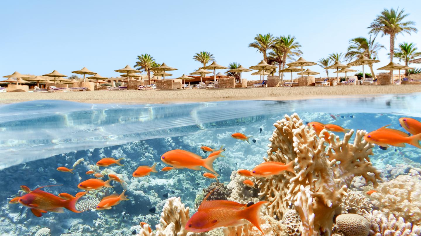 aegypten-strand-und-korallenriff-g-2166845183.jpg