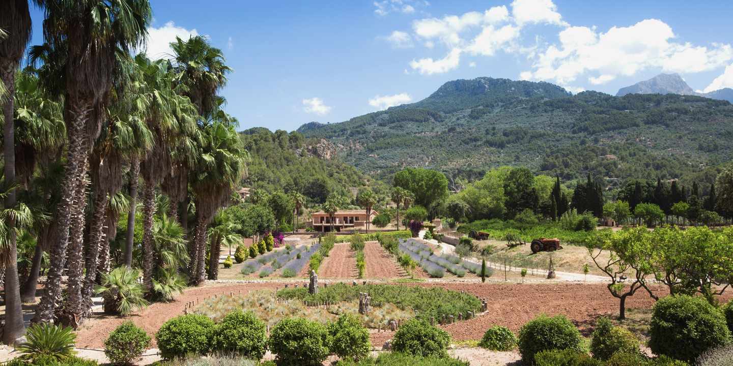spanien-mallorca-finca-ca-n-ai-outside-view-d-1181618.jpg