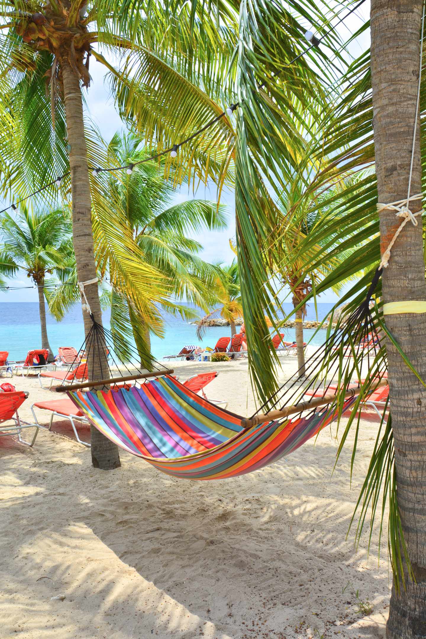 GettyImages-838941662.jpg Hängematte auf Palmen am Strand auf Curacao