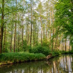 Hotel Lübbenau Spreewald