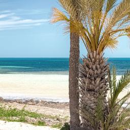 Djerba Urlaub