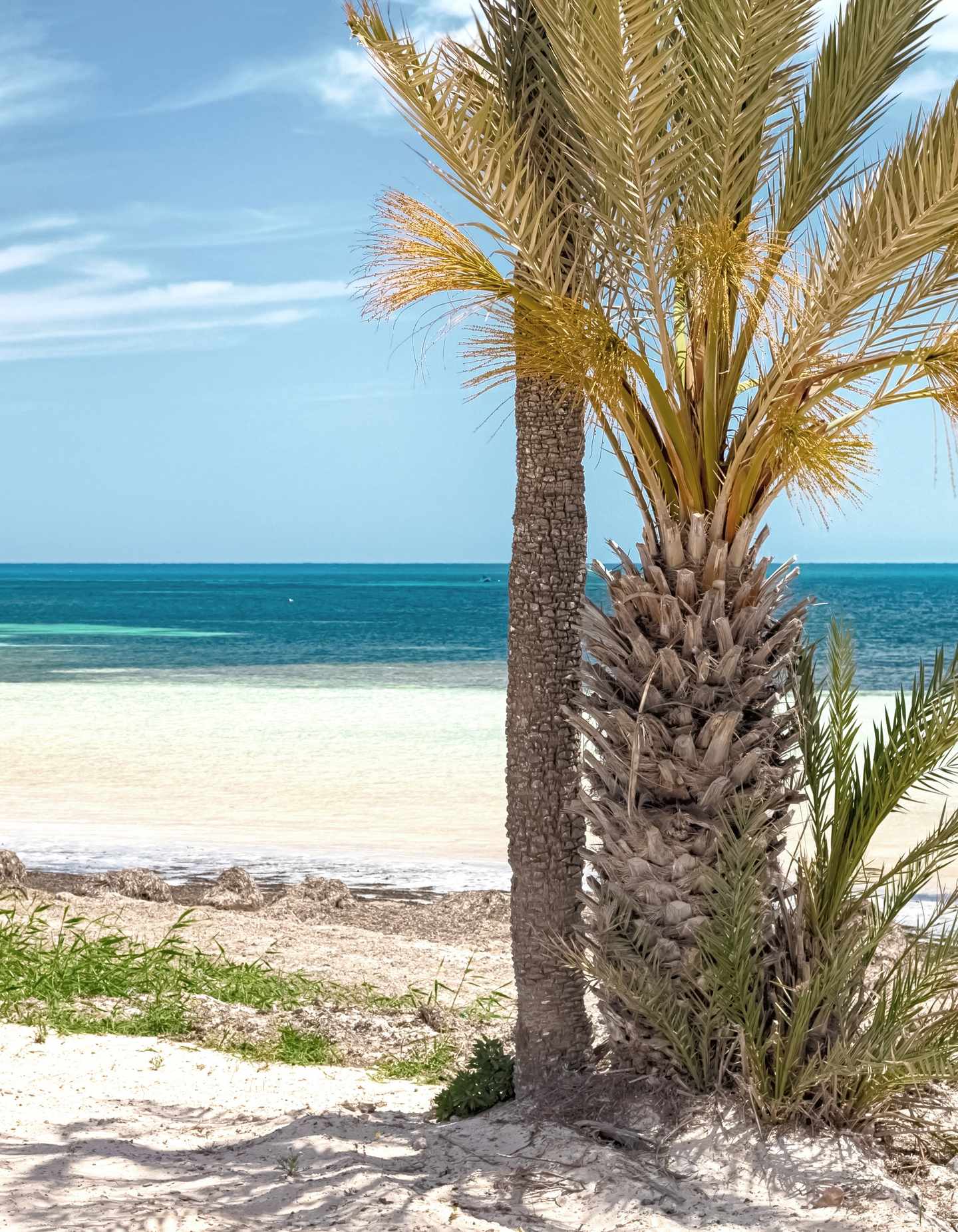 tunesien-djerba-g-1325788913.jpg