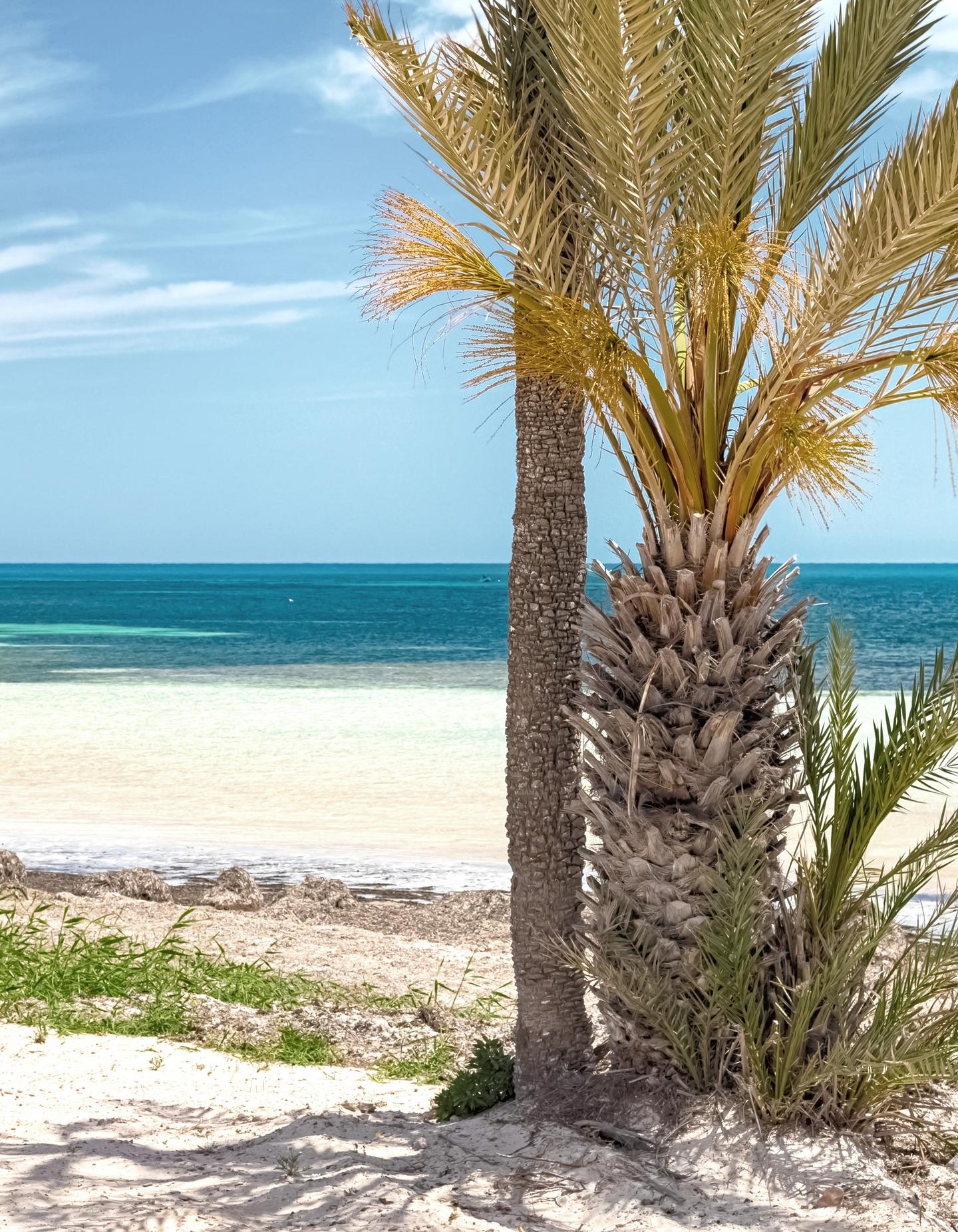 tunesien-djerba-g-1325788913.jpg