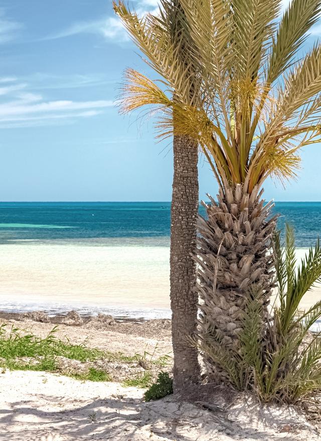 Zu den Angeboten Strand Sidi in Tunesien